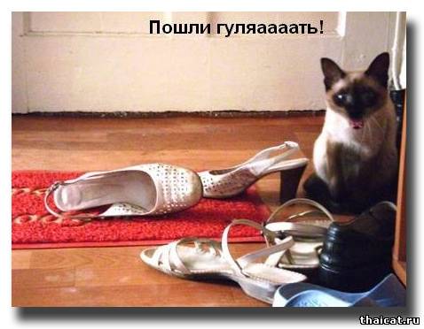 Пошли гуляаааать!