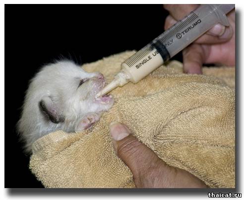 Миллилитр за маму, миллилитр за папу!