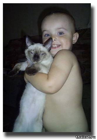 Вот так мы любим нашу кису!