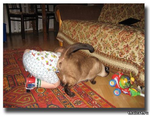 Кто ищет, тот всегда найдет!