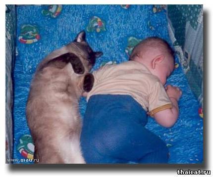 Баю-баюшки-баю