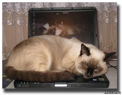 Не мешайте мне спать!