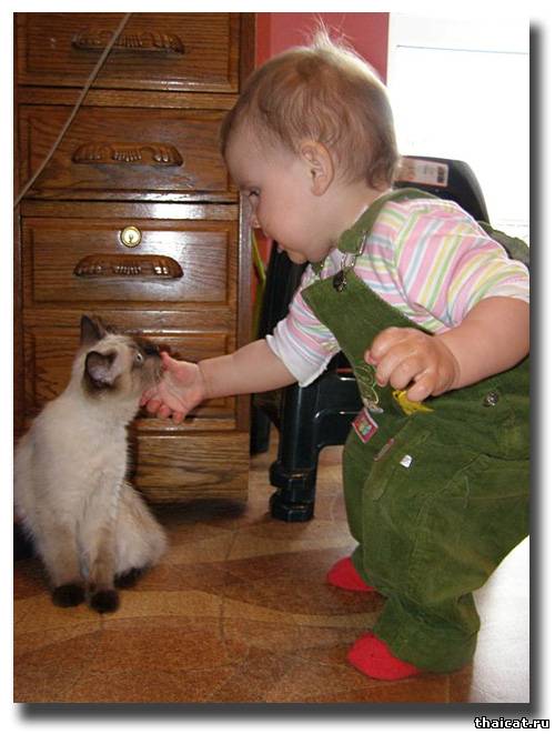 Ну так, вроде ничего, киска!