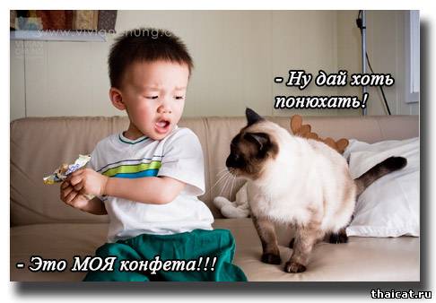 - Ну дай хоть понюхать!