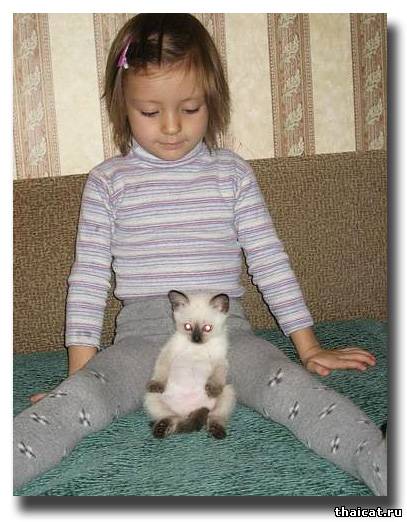 Абсолютно настоящий котенок!