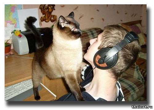 Запись нового альбома