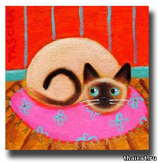 Таша Паркинсон. Сиамская кошка на подушке