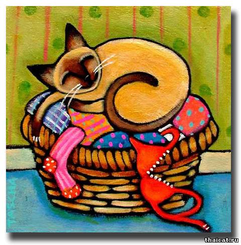 Таша Паркинсон. Сиамская кошка в корзине с бельем