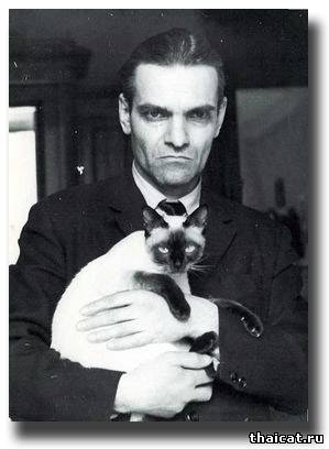 Юрий Кнорозов с сиамской кошкой Асей