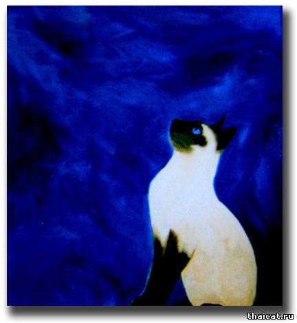 Нелли ван Ньювенхайзен. Сиамская кошка