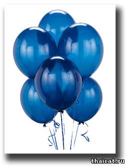 Имя для сиамской кошки 