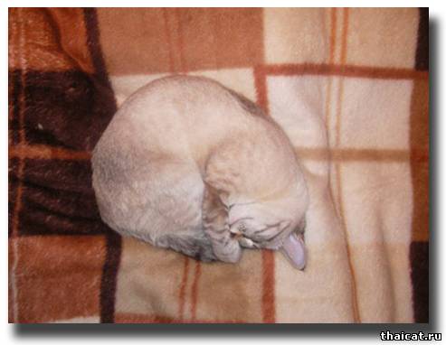 Сказочка про кризис