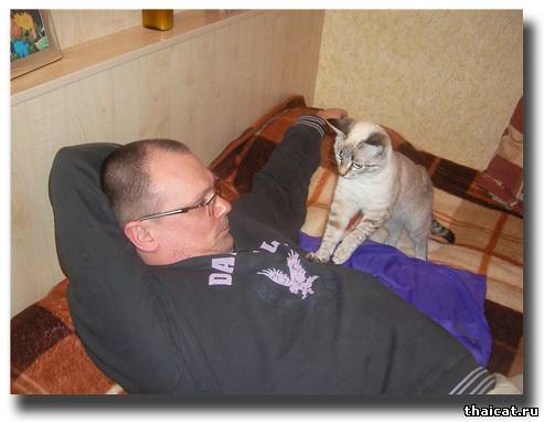 Сказочка про кризис