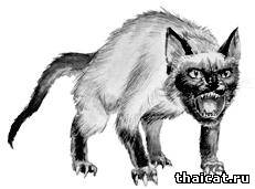 бешенство у кошки