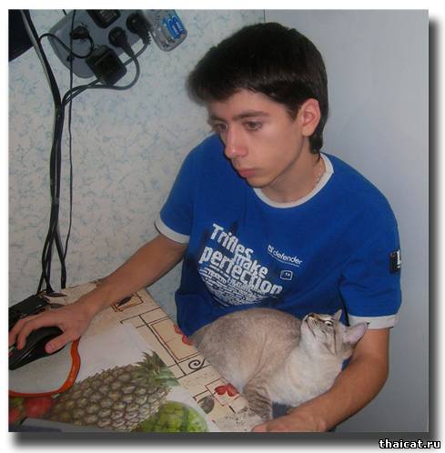 Сказочка про кризис