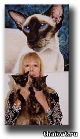 Сюзан Ле Гуд. Сиамские кошки 