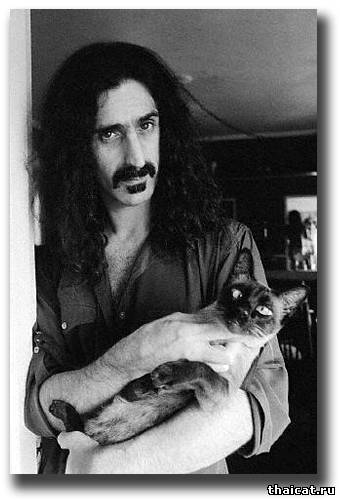 Фрэнк Заппа с сиамским котом Горгонзола