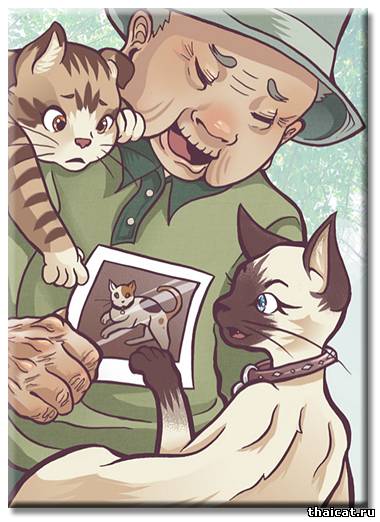 Thaicat.Ru - Книги о сиамских кошках | Кафка на пляже | Харуки Мураками | Скачать онлайн бесплатно